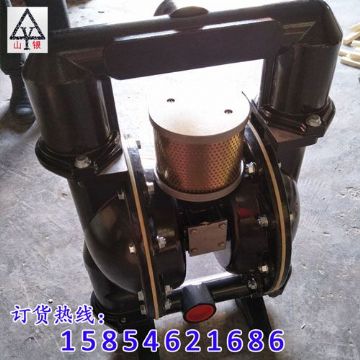 點擊查看詳細信息<br>標題：氣動隔膜泵 閱讀次數(shù)：1902