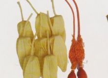 點(diǎn)擊查看詳細(xì)信息<br>標(biāo)題：取氣樣球膽 閱讀次數(shù)：162